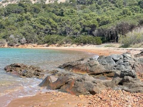 Domus Antonella Villa Capo Coda Cavallo Dış mekan fotoğraf