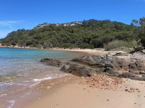 Domus Antonella Villa Capo Coda Cavallo Dış mekan fotoğraf